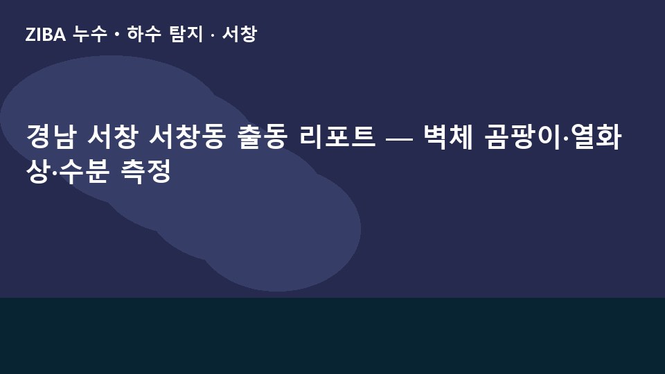 경남 서창 서창동 출동 리포트 — 벽체 곰팡이·열화상·수분 측정